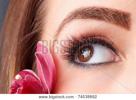 Colorful Eyelash Extensions