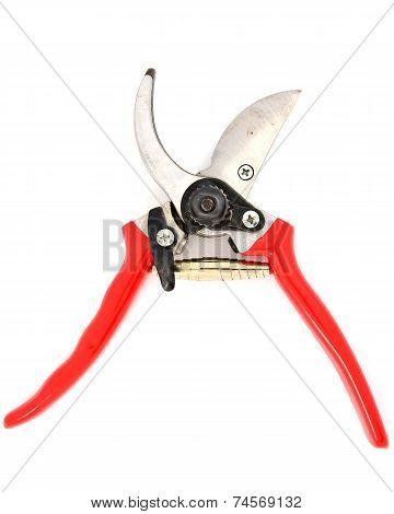 Red Garden Secateurs