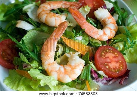 Prawn salad, with mixed greens, peppers and king-size shrimp