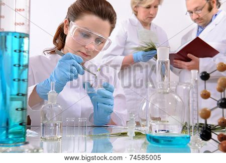 group of scientists working at the laboratory