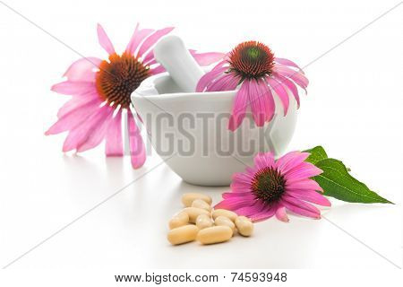 Healing herbs and amortar. Alternative medicine concept