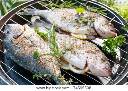 three sea breams on roast prepared for grilling