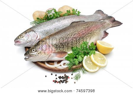 Rainbow trout with fresh herbs isolated on white background