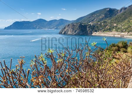 Vernazza