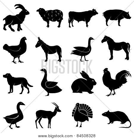 Farm animals icons set