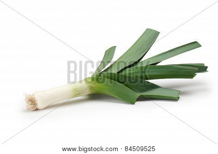 Leeks On A White Background