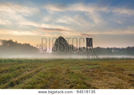 Sunrise On Foggy Meadow With Raised Hide