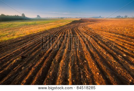 Morning Plowed Field Landscape