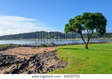 A scenic view from Waitangi Beach over Paihia coast landscape