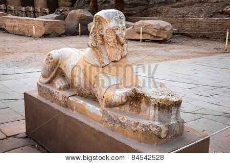 Anrosphinx In The Karnak Temple Complex