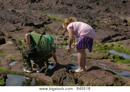 Rockpooling 01