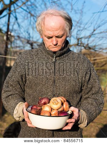 Farmer Holding Organic Onion