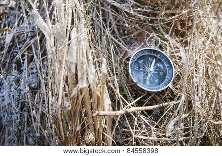 Compass