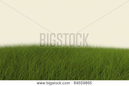 Green Grass