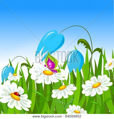 Green Grass and  colorful Spring Flowers.