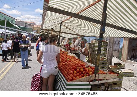 Traditional Street Fair Of Sao Paulo City