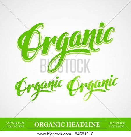 Title Organic. Vector Handmade lettering