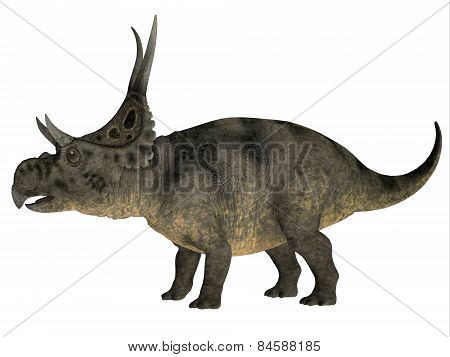 Diabloceratops Over White