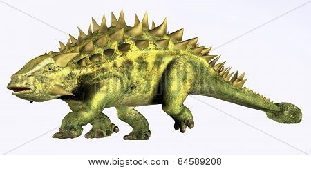 Talarurus On White