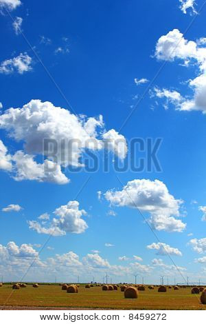 Bailed field and blue sky