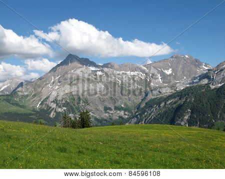 Summer Landscape Near Gstaad