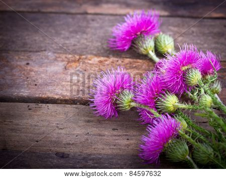 Burdock on the wooden background