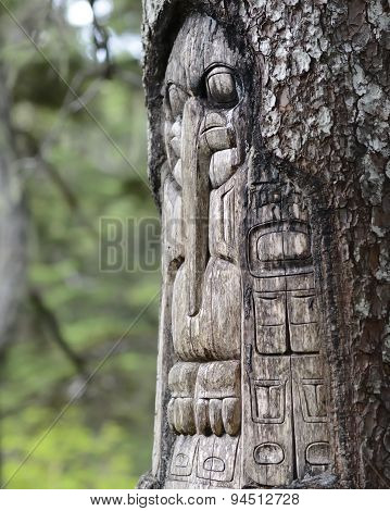 Tree carved by native Tlingit indians