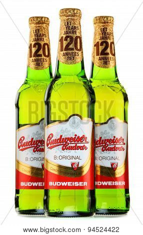 Bottles Of Budweiser Budvar Beer Isolated On White