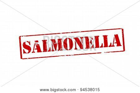 Salmonella