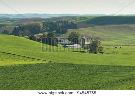 Rolling Hills
