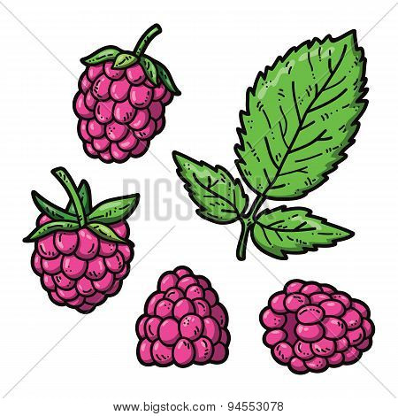 Raspberry color