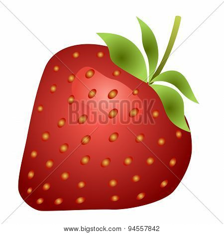 Strawberry Fruit