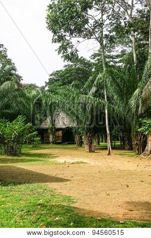 Tropical Jungle House In Bolivia.