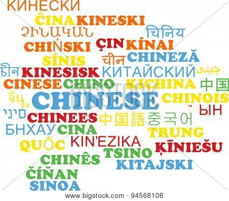 Background concept wordcloud multilanguage international many language illustration of Chinese