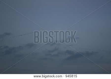 Weg fliegt