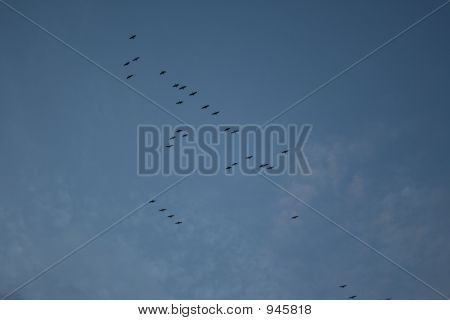Weg fliegt