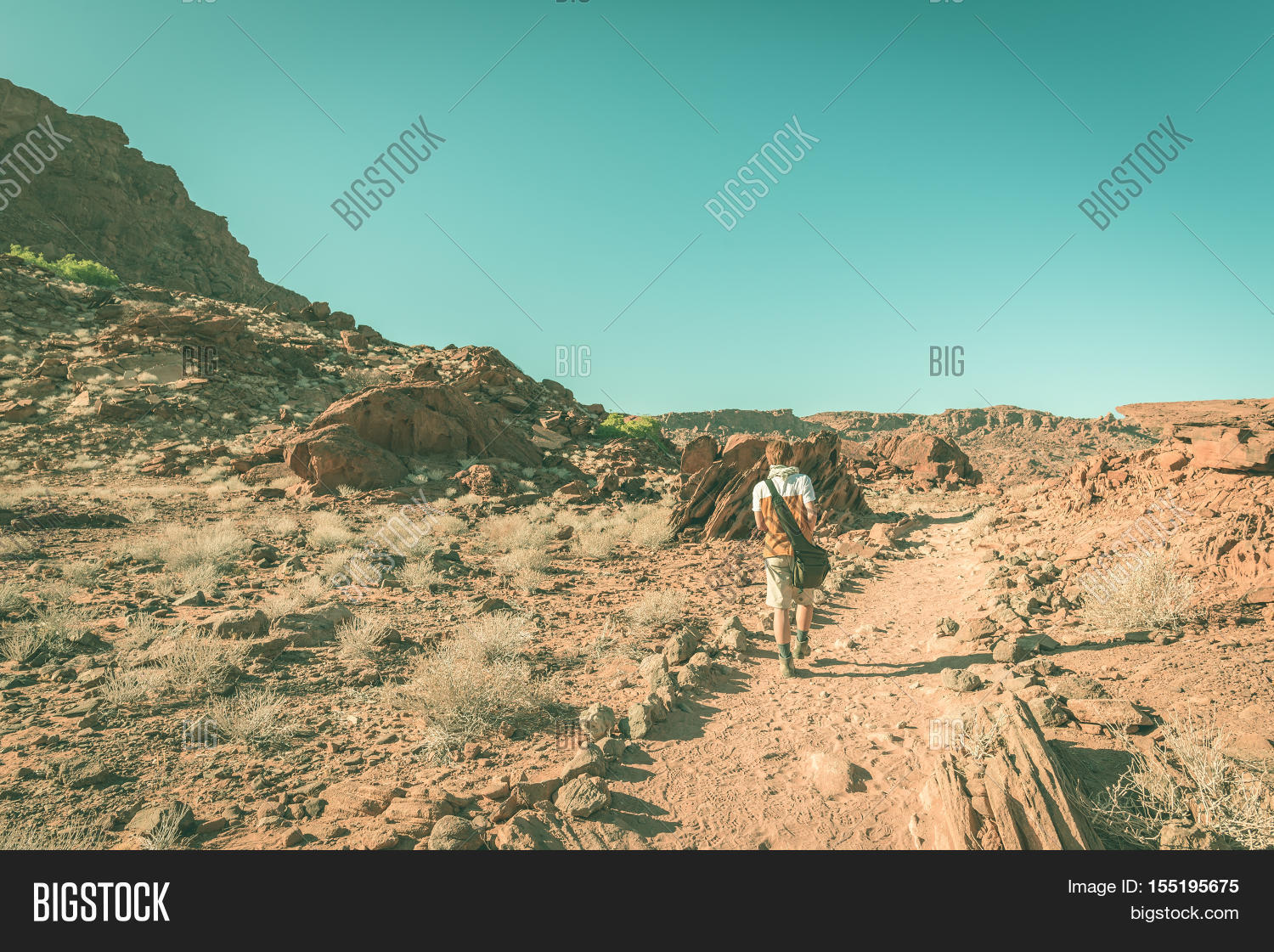 Image Preview
