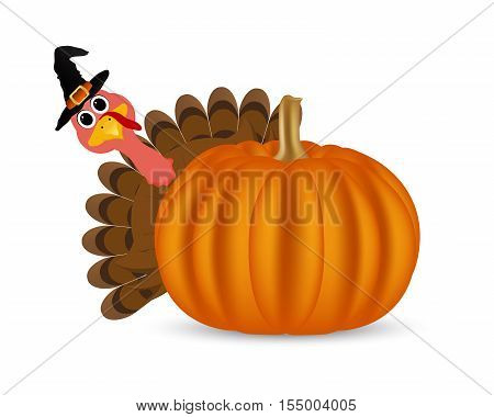 Turkey on Thanksgiving Day looks out from behind a pumpkin. Symbols Thanksgiving holiday, vector illustration
