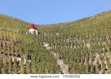 Vineyards and landscape of Cote Rotie in France