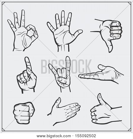 Set of people hands. Different gestures. Vector illustration.