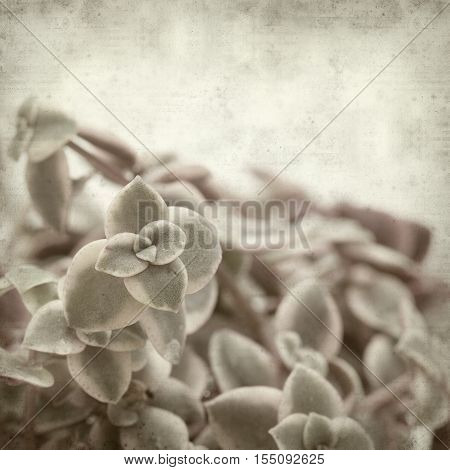 Textured Old Paper Background