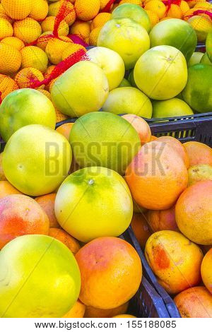 A variety of grapefruits diaplayed on the table.. Fresh Produce of Local Farmer Market