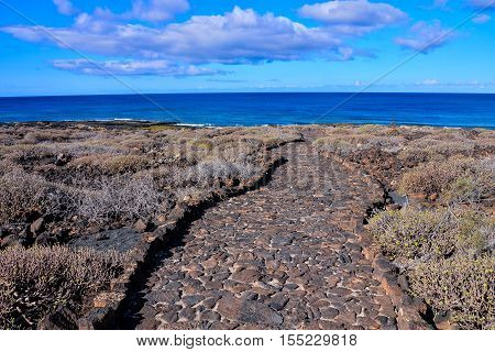 Countryside Desert Dirt Road
