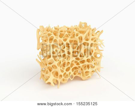 A piece of bone spongy structure close-up texture of bone with osteoporosis isolated on white 3d illustration