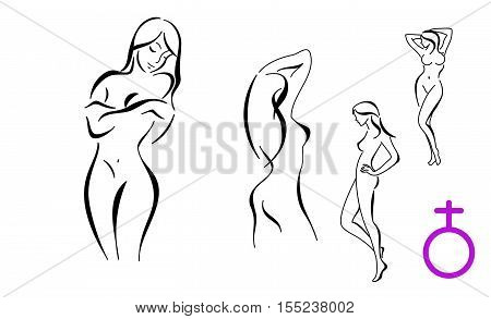 Stylized female bodyes outline vector. Contour female body silhouette isolated on white background. Body parts design element for beauty spa salon.  body weight management concept Female bodyes logo of beauty fitness centre or beauty salon beautiful young