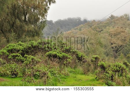 Climbing the volcano Semeru Indonesia. Clouds obscured the crater and green valley