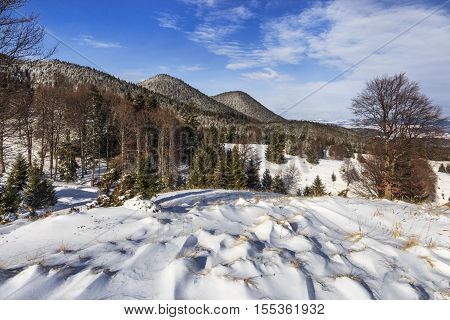 landscape with hills, forests and meadows covered with snow in winter