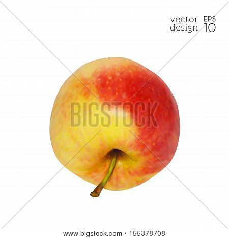 Apple-fruit-realistic-red-yellow-diet-3.eps