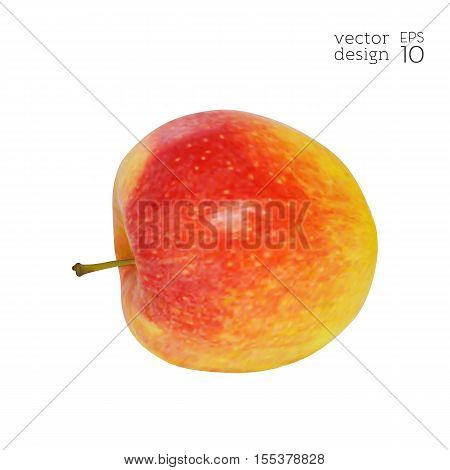 Apple-fruit-realistic-red-yellow-diet-5.eps