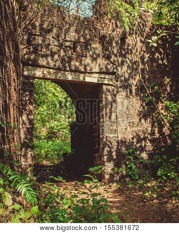 Abandoned Portuguese fort in the green jungle in India